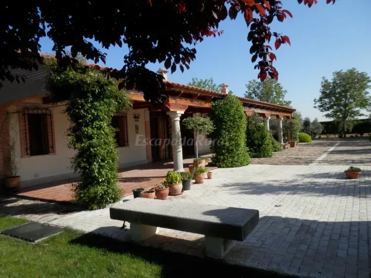Patio con parra y bancos a la sombra